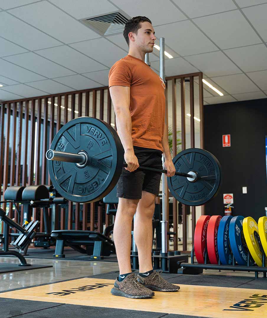 VERVE - Olympic Bumper Plates