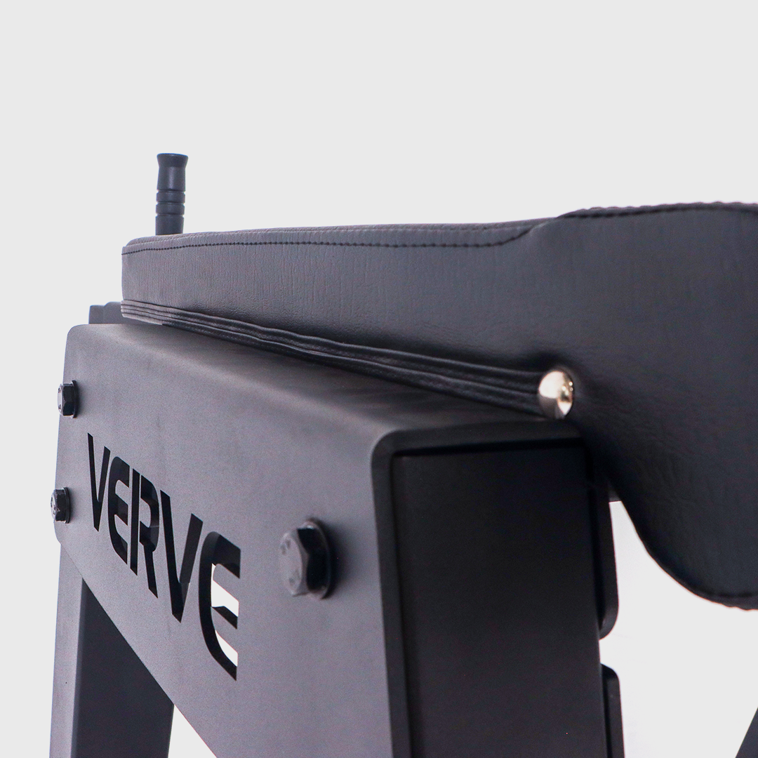 VERVE - Reverse Hyperextension