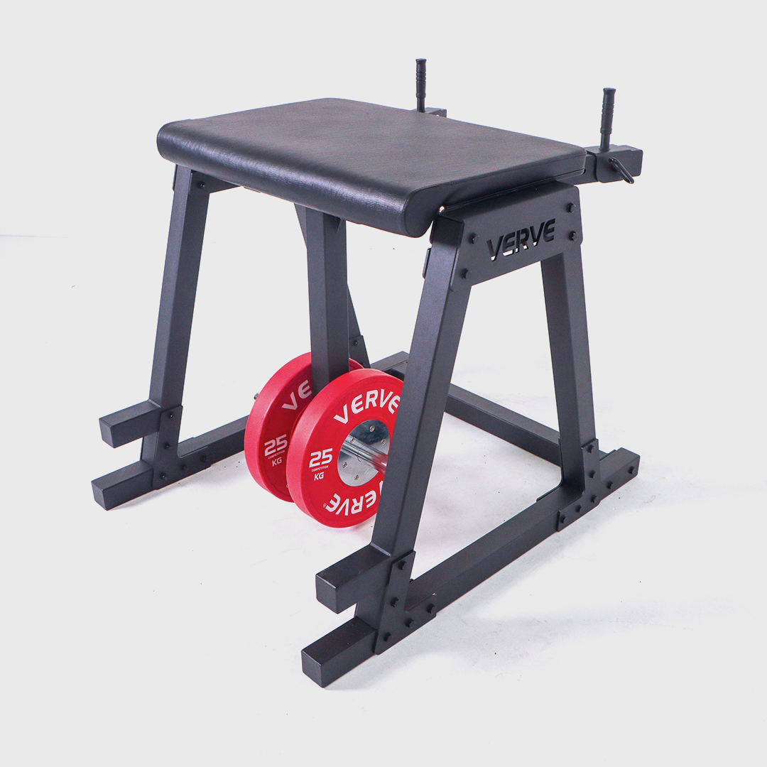 VERVE - Reverse Hyperextension