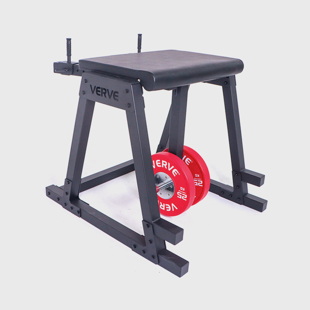 VERVE - Reverse Hyperextension