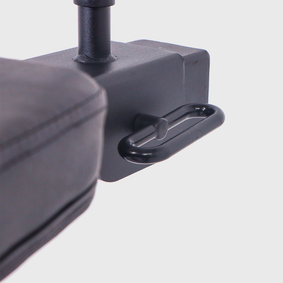 VERVE - Reverse Hyperextension