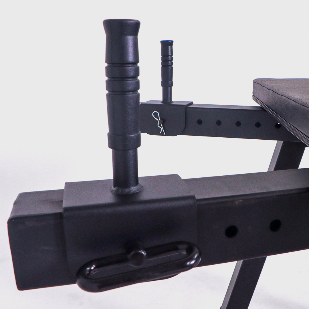 VERVE - Reverse Hyperextension