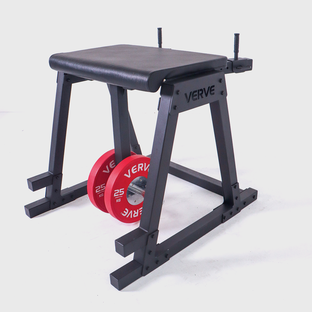 VERVE - Reverse Hyperextension