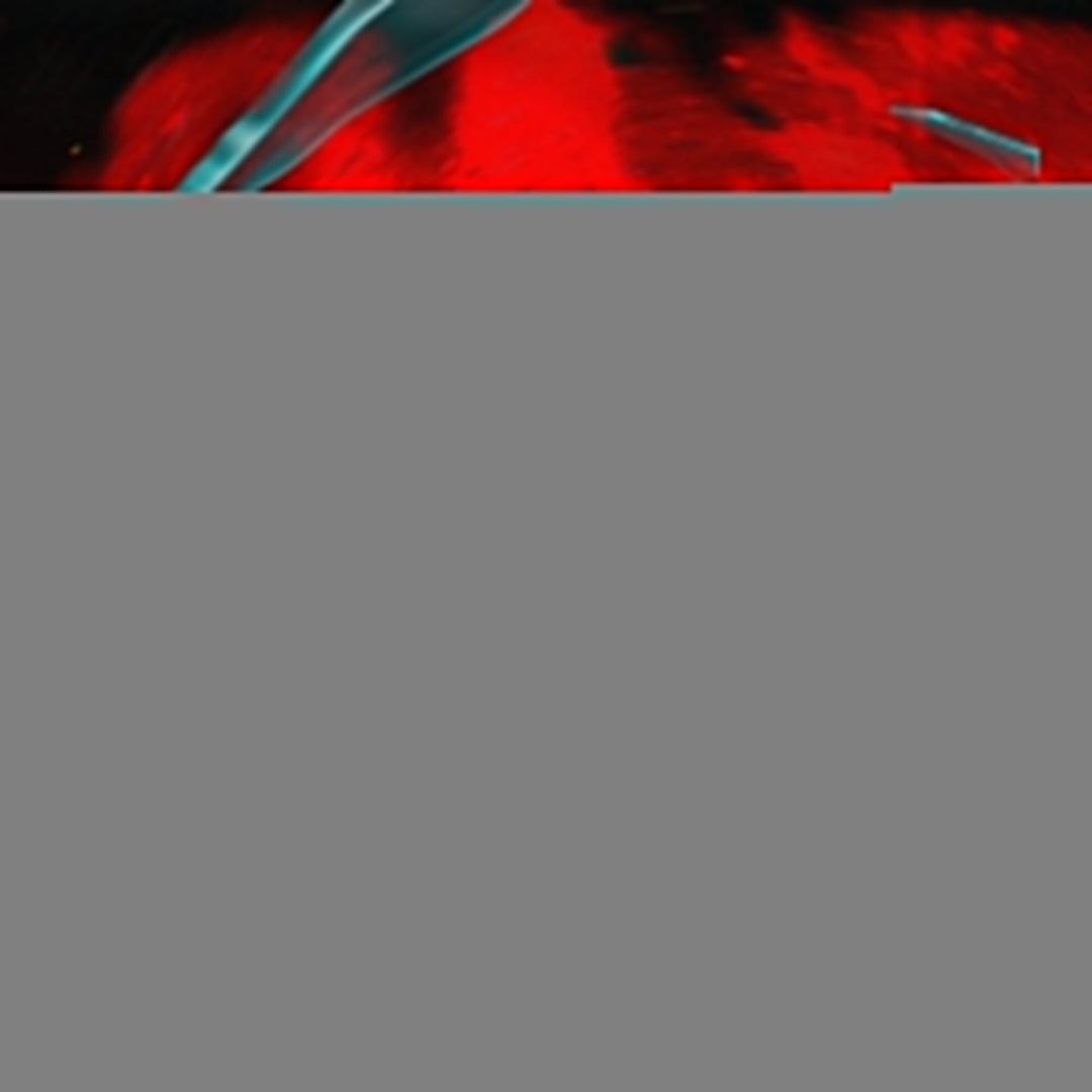 LUXIAOJUN - Weightlifting Shoes - Black & Red