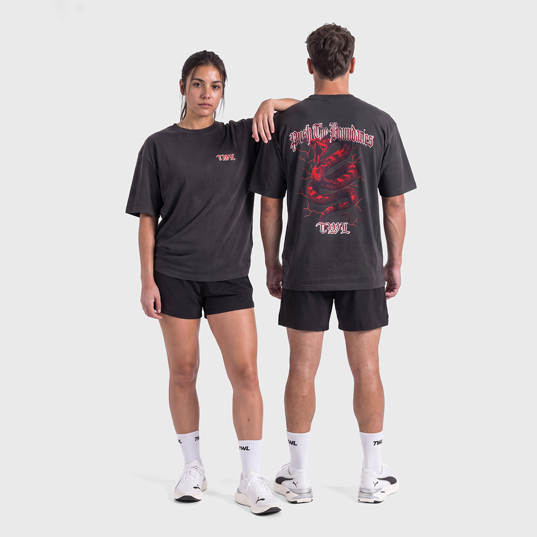 TWL - LIFESTYLE OVERSIZED T-SHIRT - BOOTLEG - SNAKE - FADED BLACK/RED