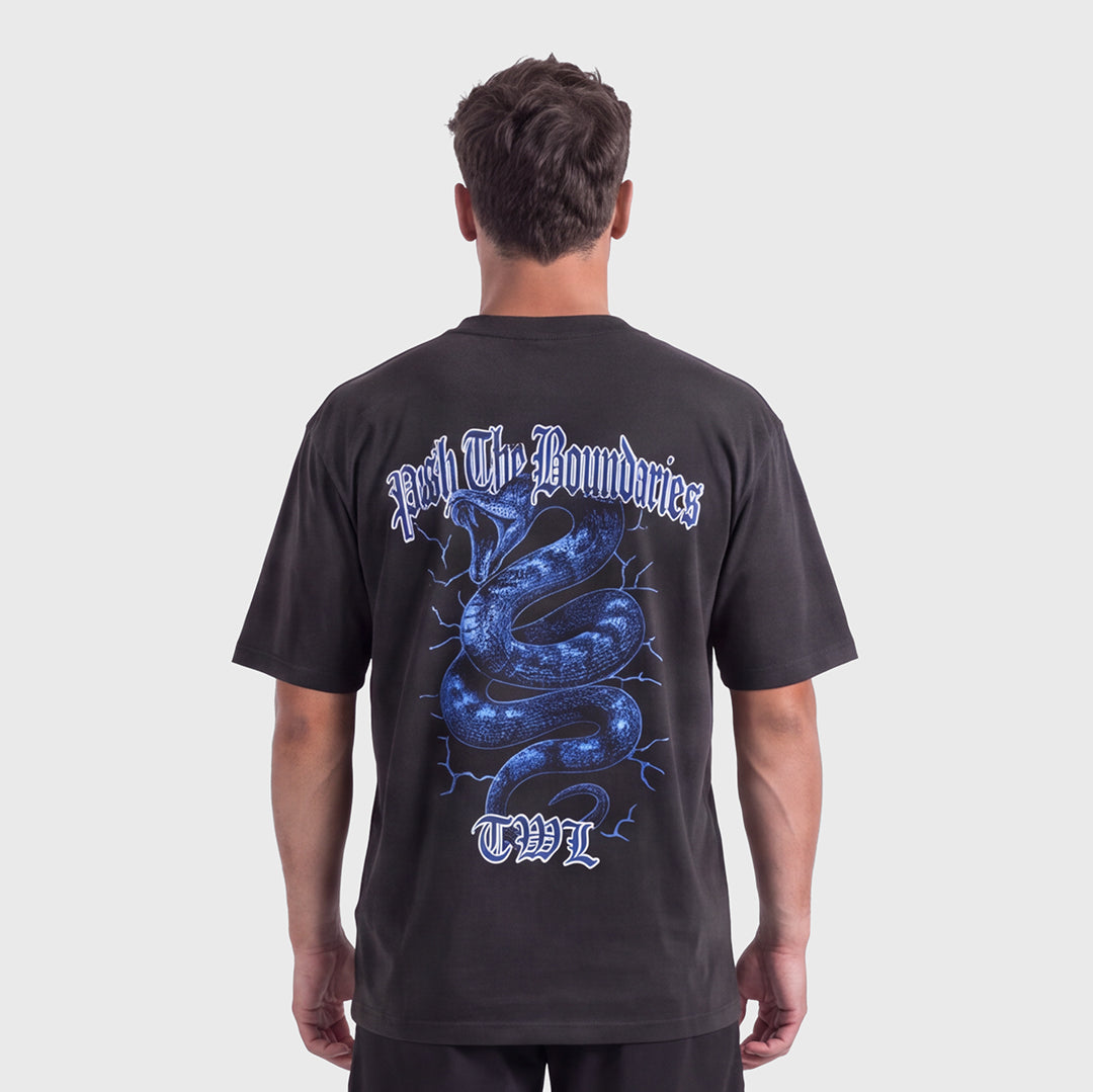 TWL - LIFESTYLE OVERSIZED T-SHIRT - BOOTLEG - SNAKE - FADED BLACK/VIOLET
