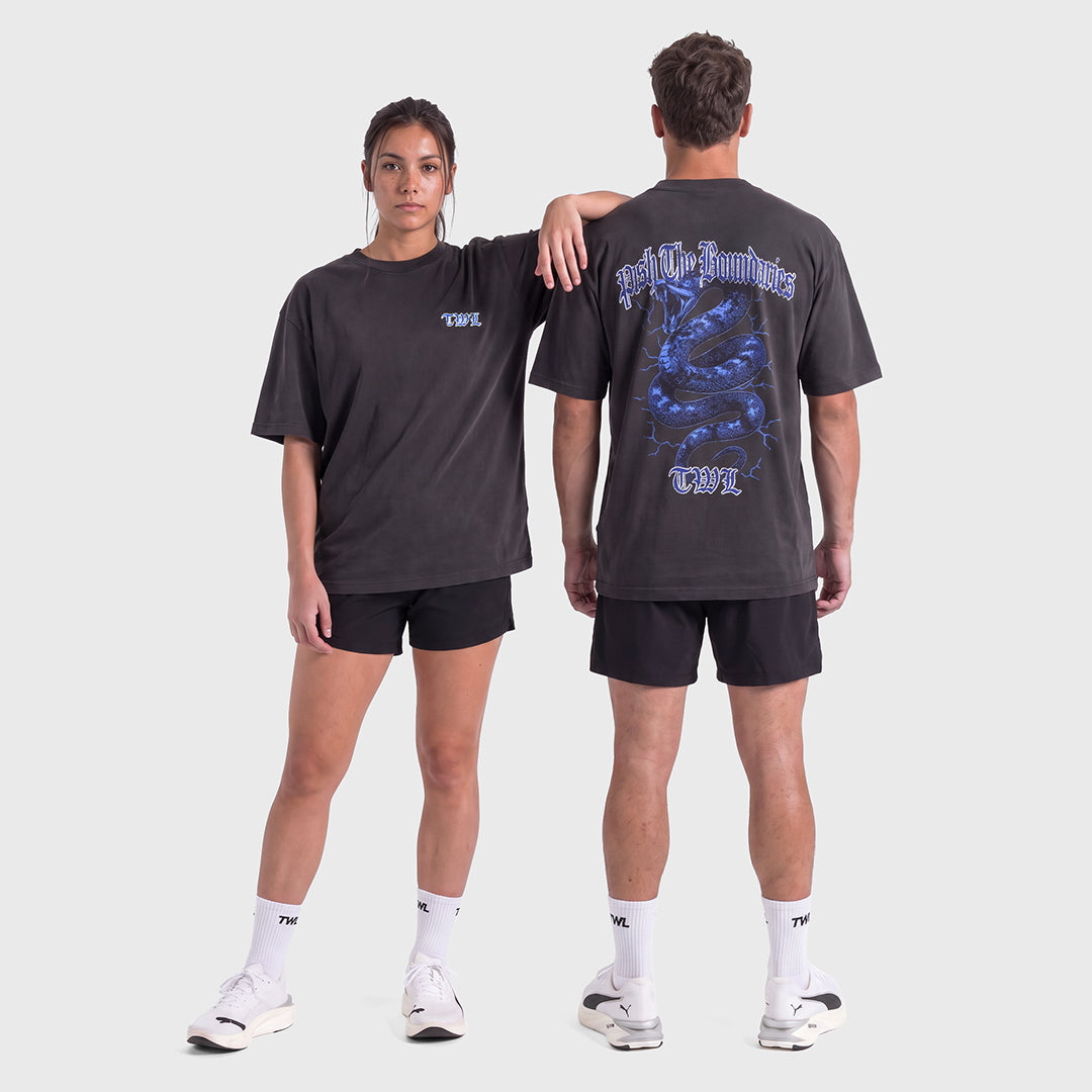 TWL - LIFESTYLE OVERSIZED T-SHIRT - BOOTLEG - SNAKE - FADED BLACK/VIOLET