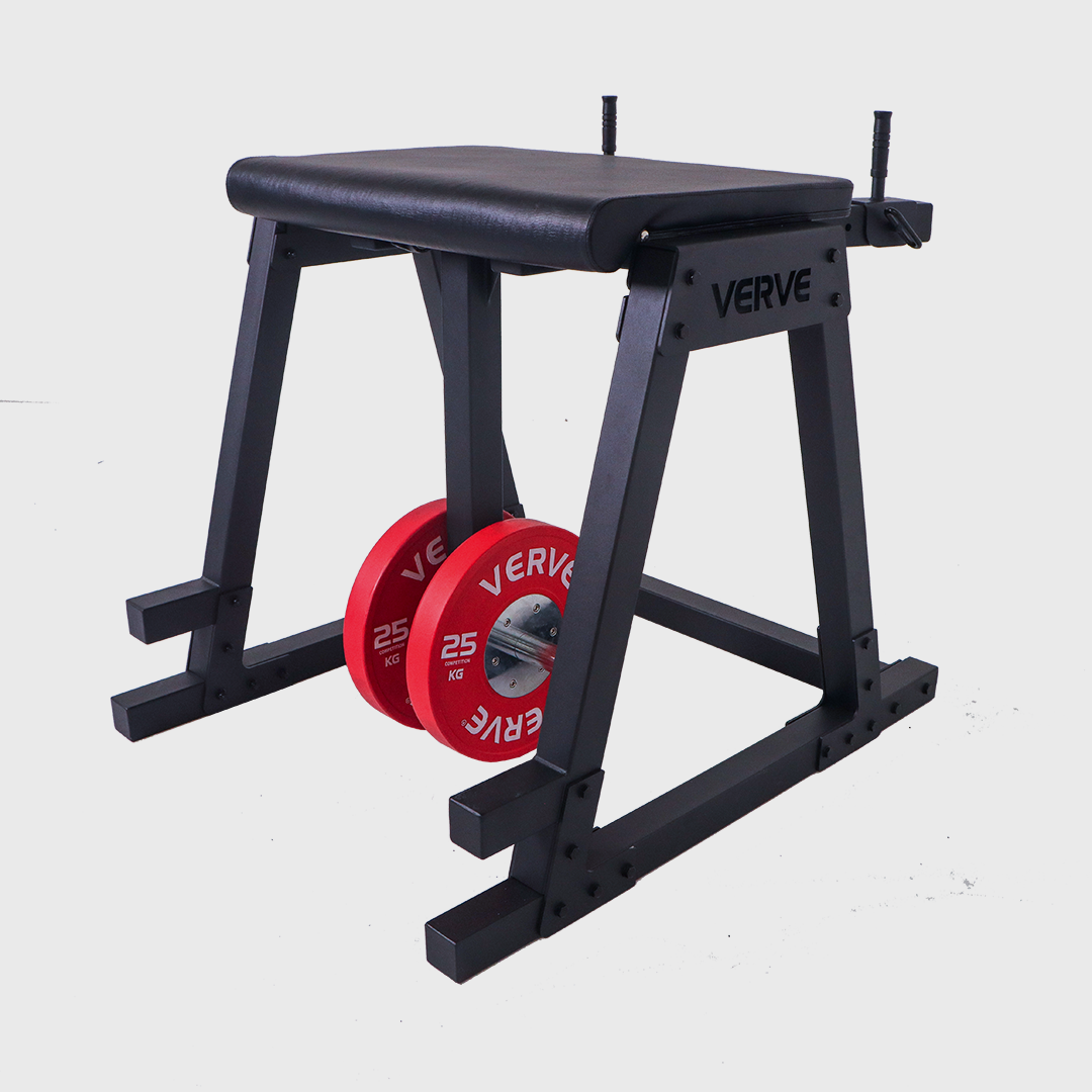 VERVE - Reverse Hyperextension