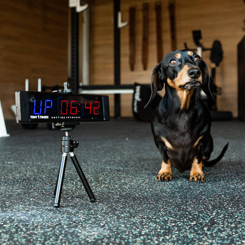 Equipment - Tiny Timer By James Newbury