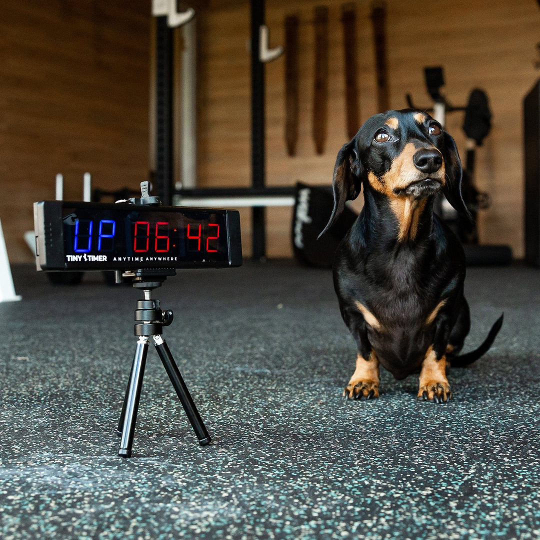 Equipment - Tiny Timer By James Newbury